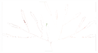 White Tree Collagen Logo